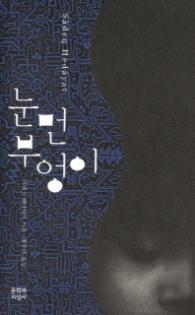 눈먼 부엉이 (양장)